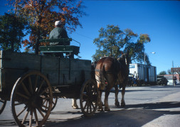 Horse and wagon going down the street in downtown Fort Scott, Kansas.
