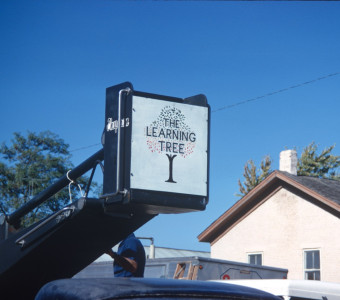 Filming equipment labeled with ‚ÄúThe Learning Tree‚Äù logo.